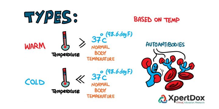 Mari mengenal lebih jauh: Autoimmune Hemolytic Anemia